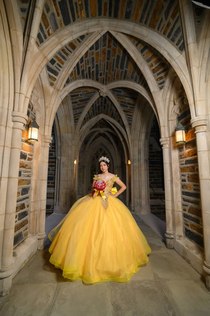 Vestido de quinceañera inspirado en princesa