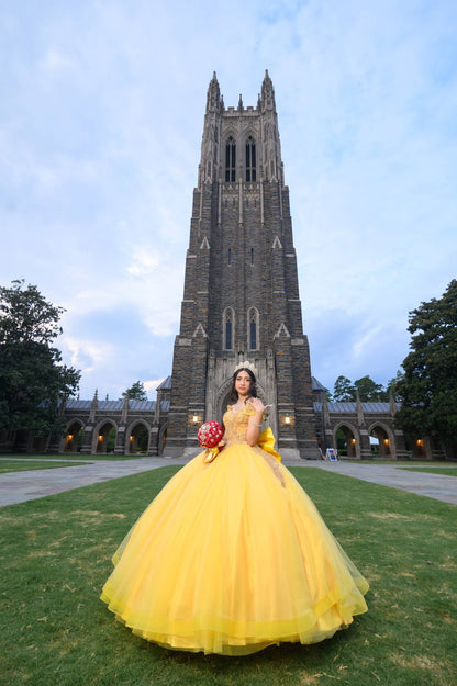 Vestido de quinceañera inspirado en princesa